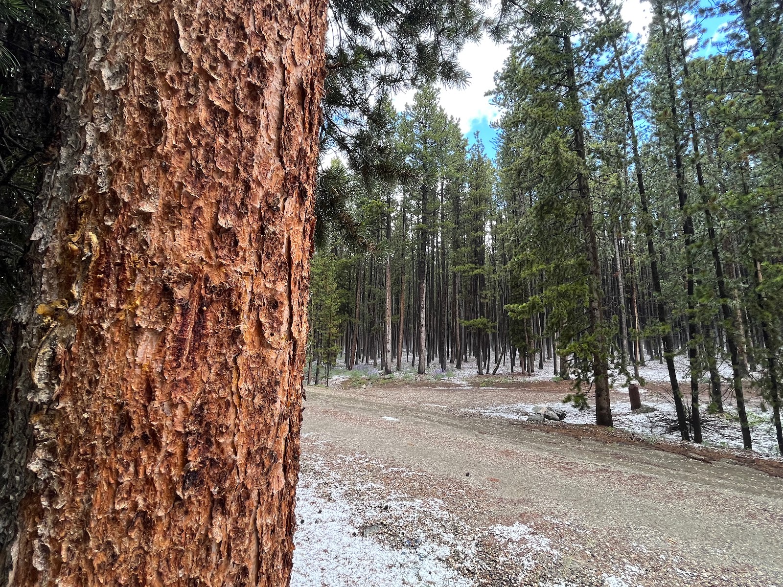 Lost Cabin Campground