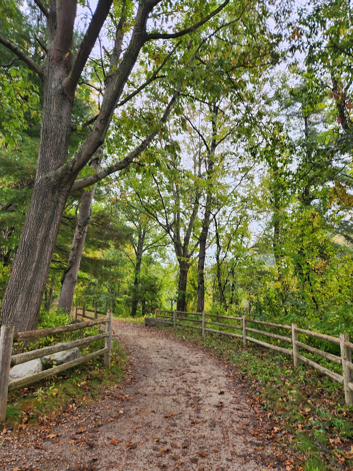 Silver Springs Campground and Cottages