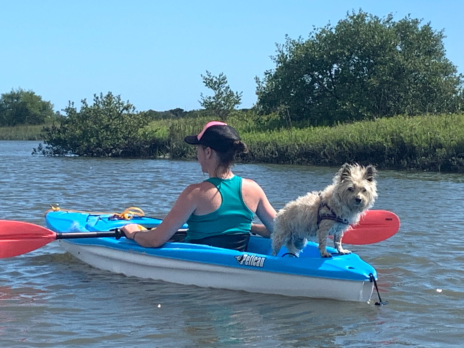 Parramore's Fish Camp & RV Resort