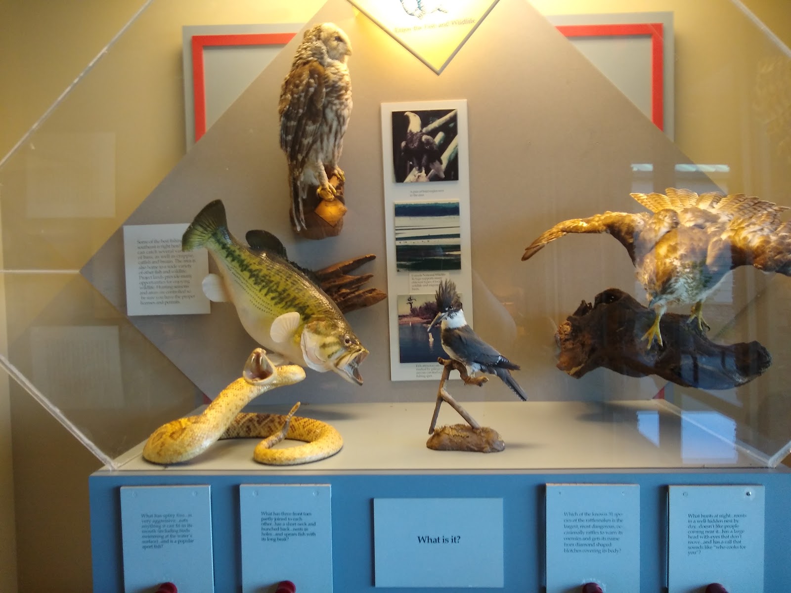 Hatchechubbee Creek Park