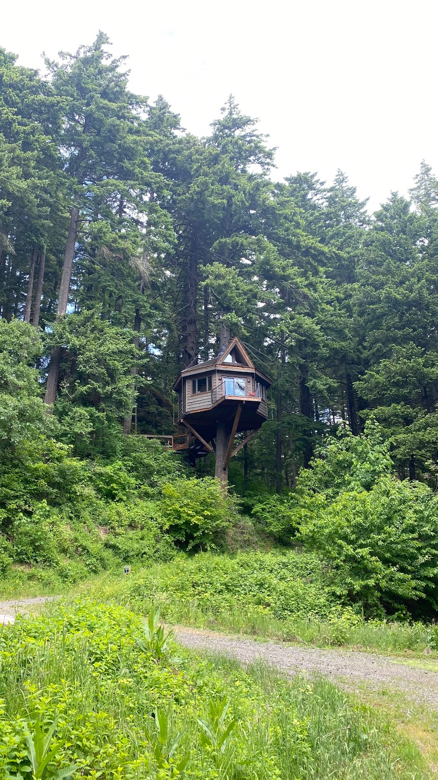 The Resort at Skamania Coves