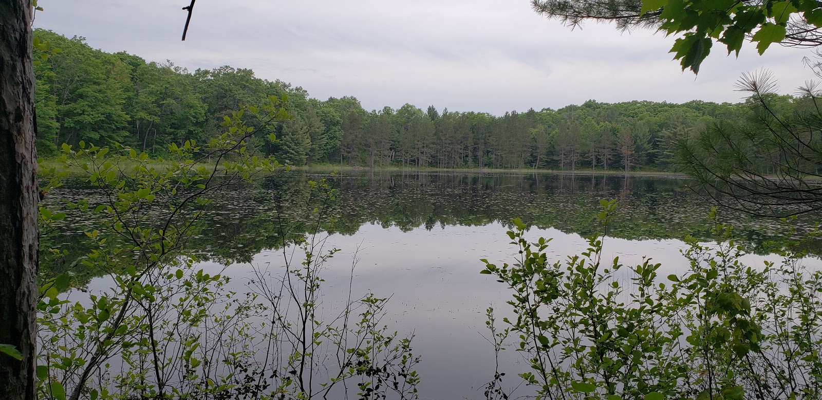 Big Bear Lake SF Campground