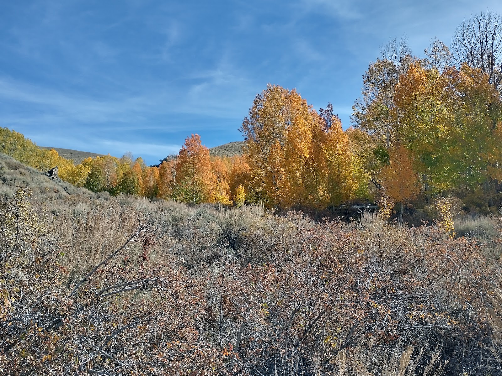 Bob Scott Campground