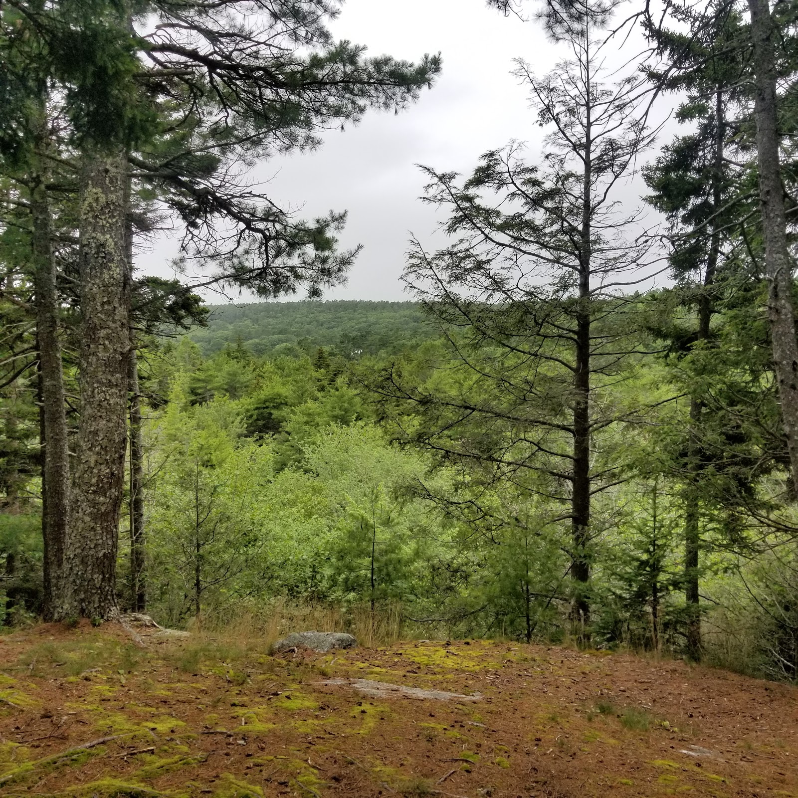 Meadowbrook Camping Area