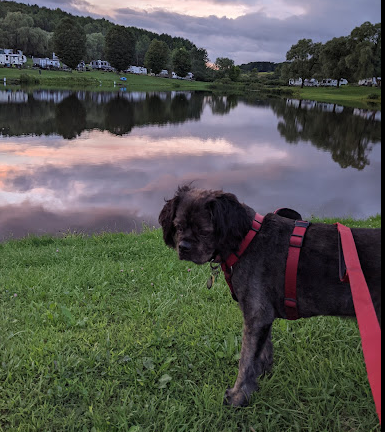 Country Hills Campground