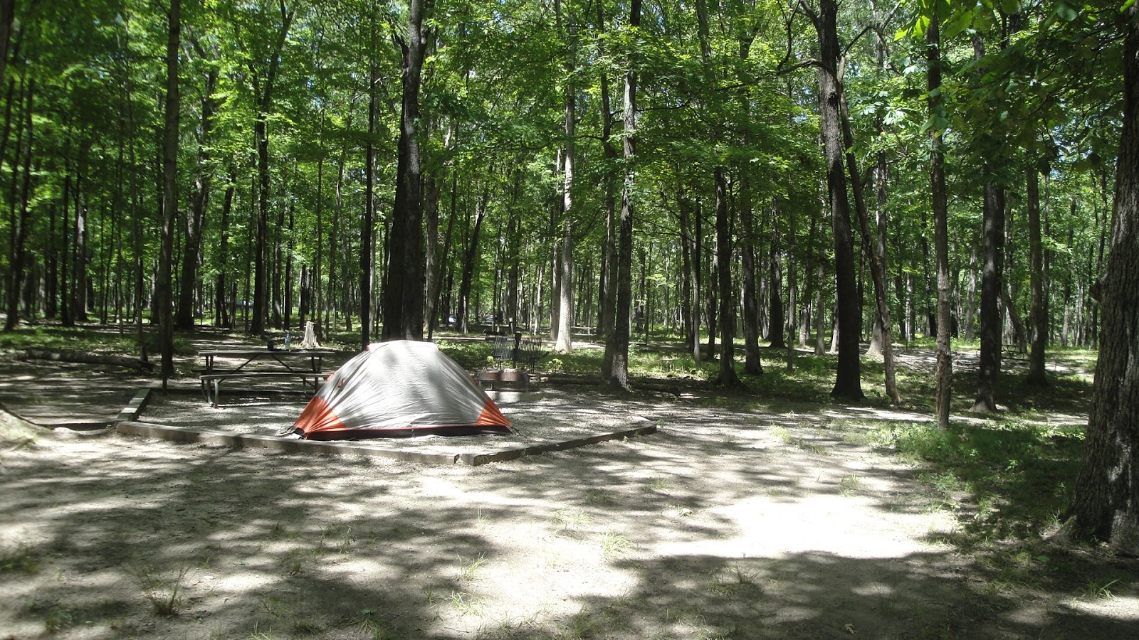Stephen A. Forbes State Park