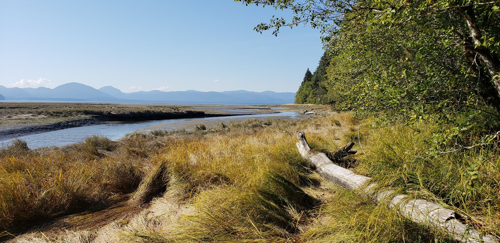 Mallard Slough Cabin