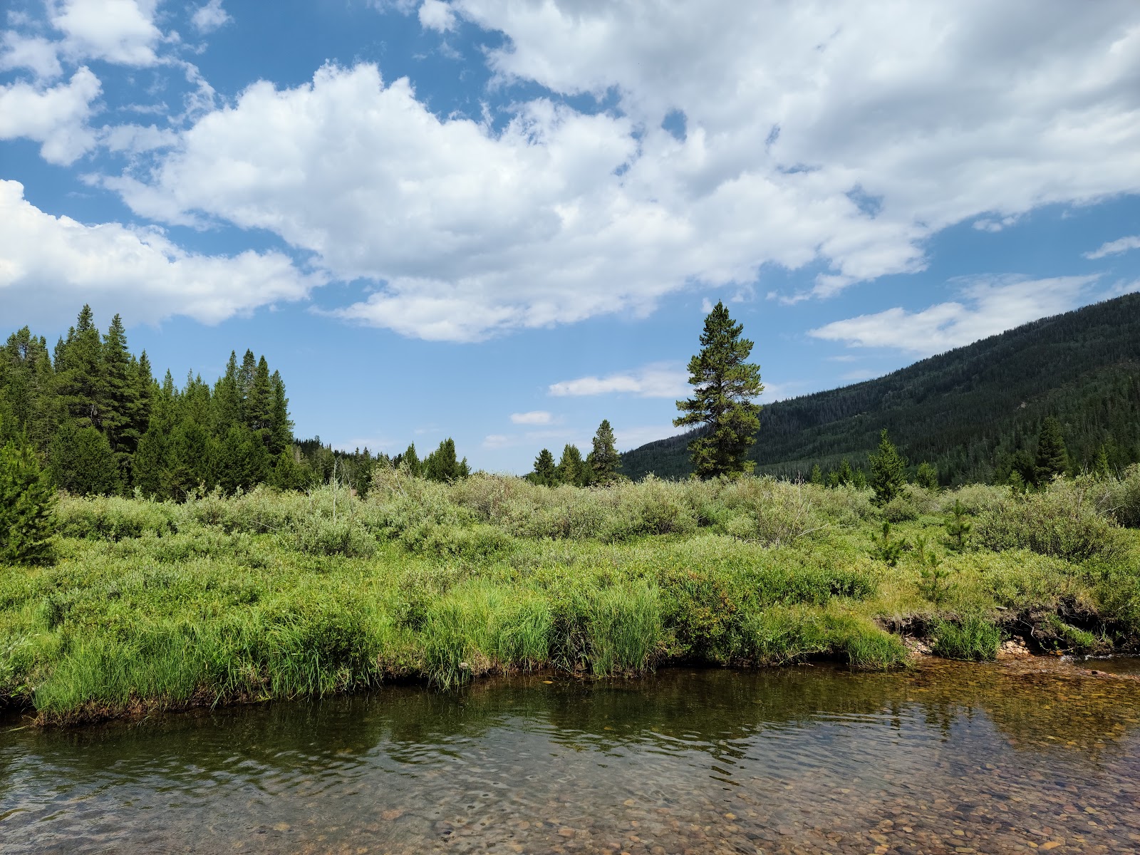 Christmas Meadows Campground