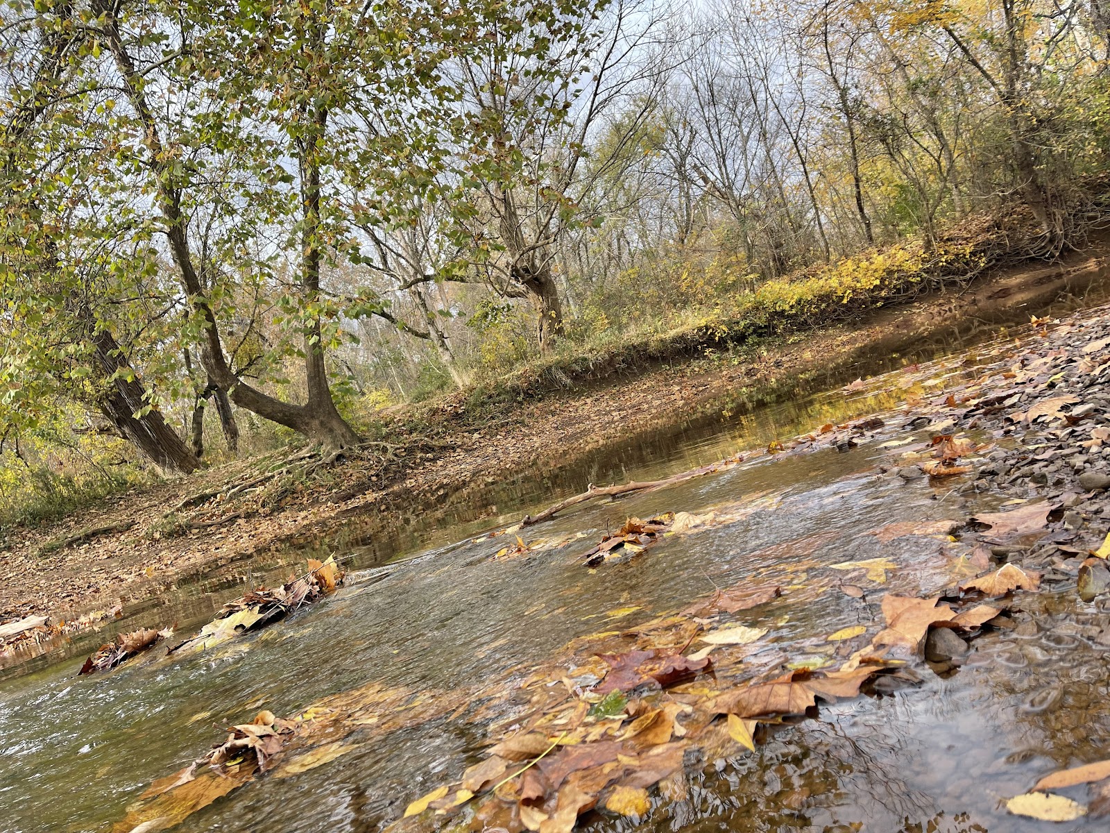 Bull Run Regional Park