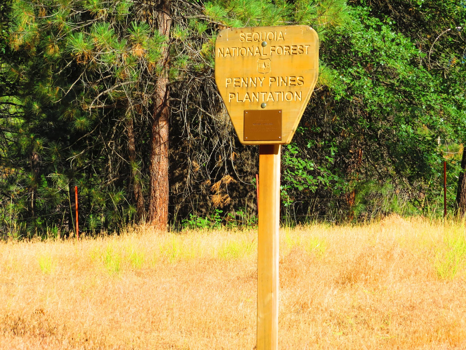 Lower Peppermint Campground