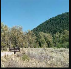 Aspen Grove Group Use Area Camping