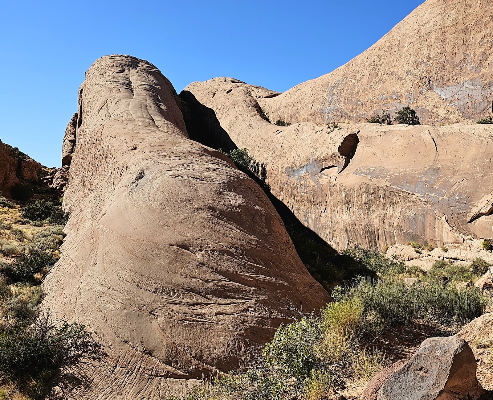 Lions Back Camp Park