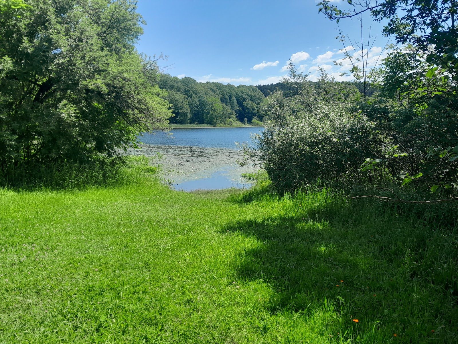 Brush Lake Campground