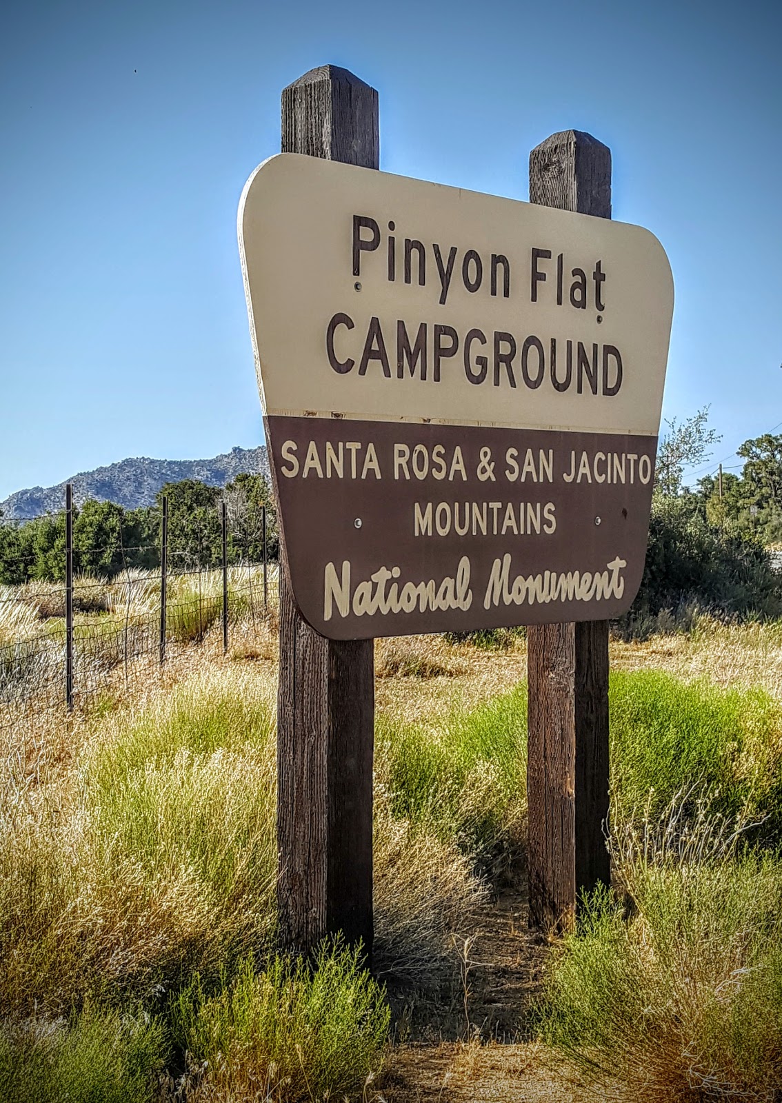 Pinyon Flat Campground