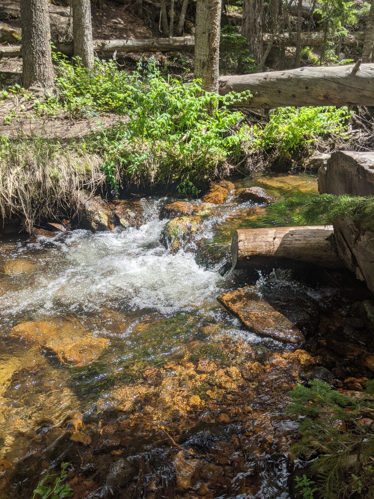 North Fork Poudre Campground