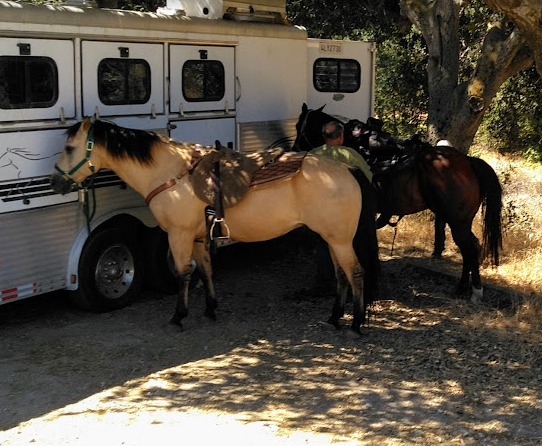 Bogart Regional Park