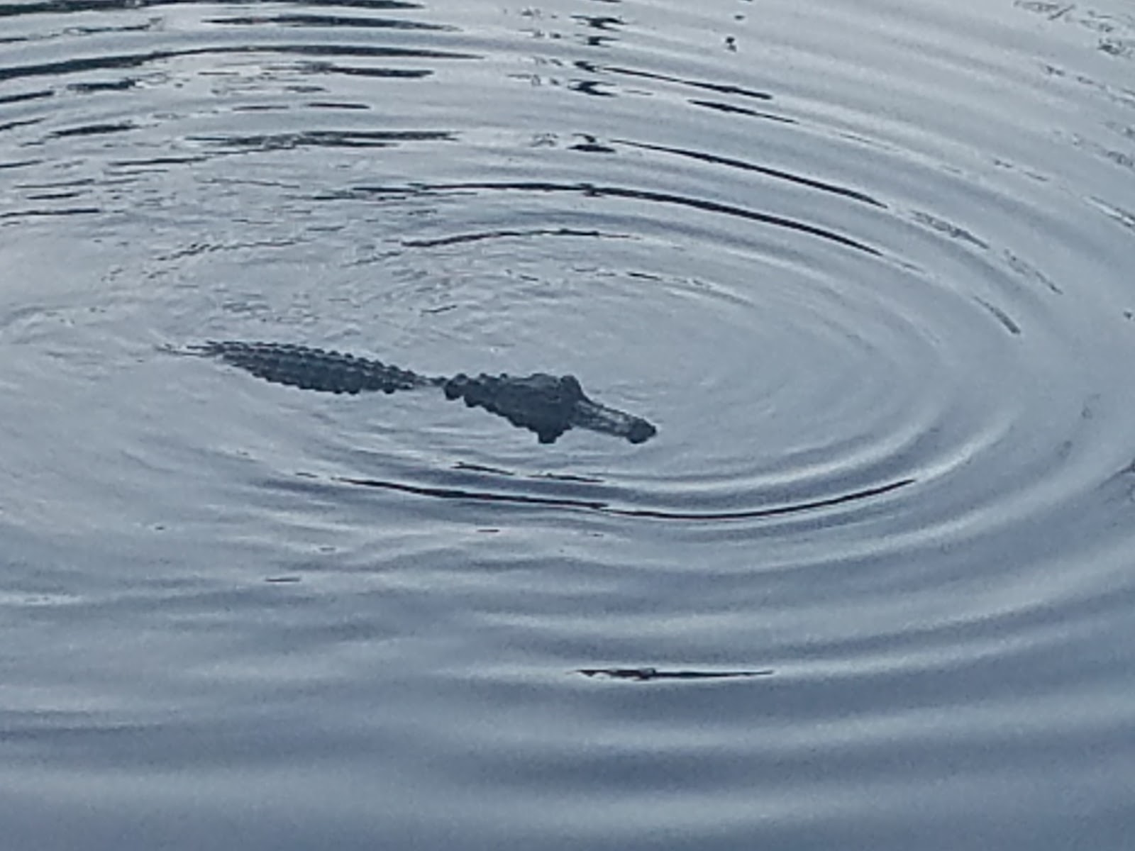 Holbrook Pond Recreation And Campground