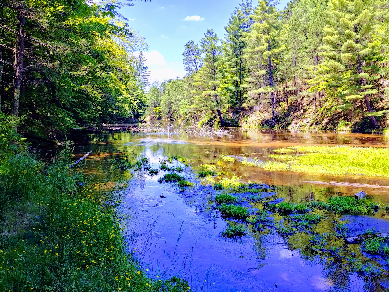 Seaton Creek NF Campground