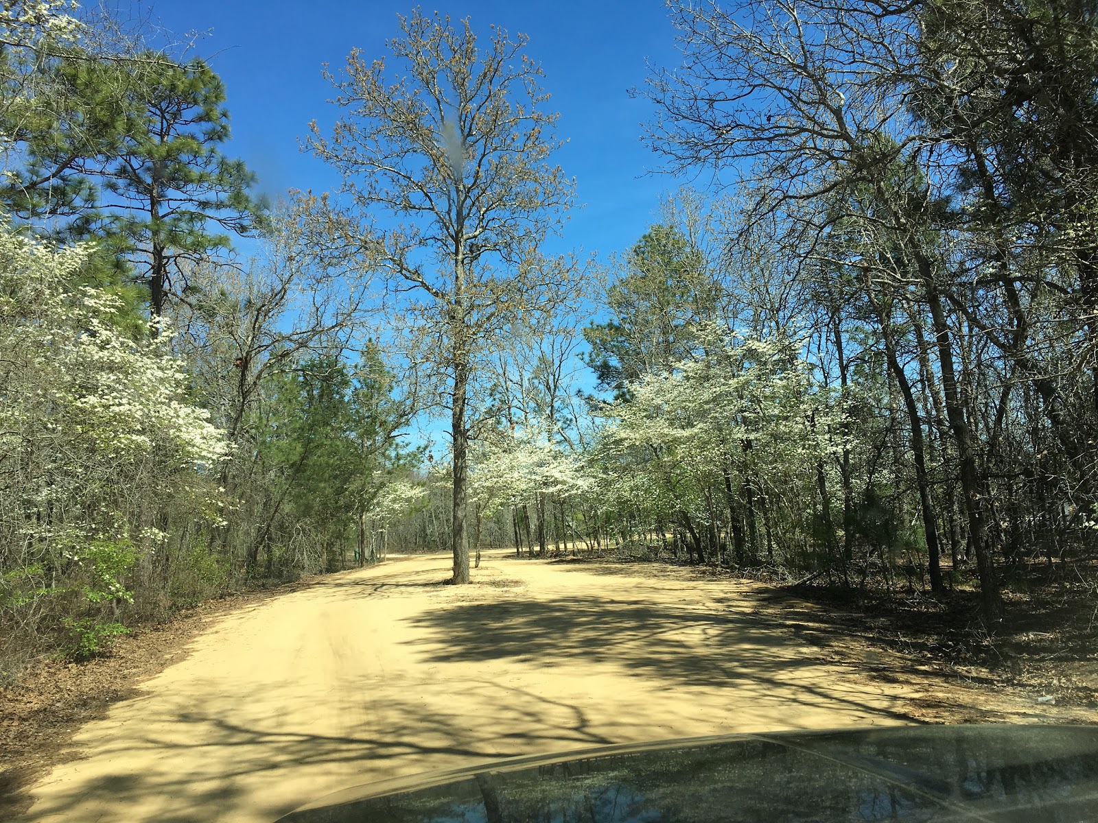 Pine Lake Resort and Campground