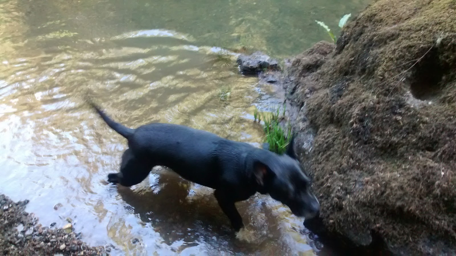 Broken Bowl Campground