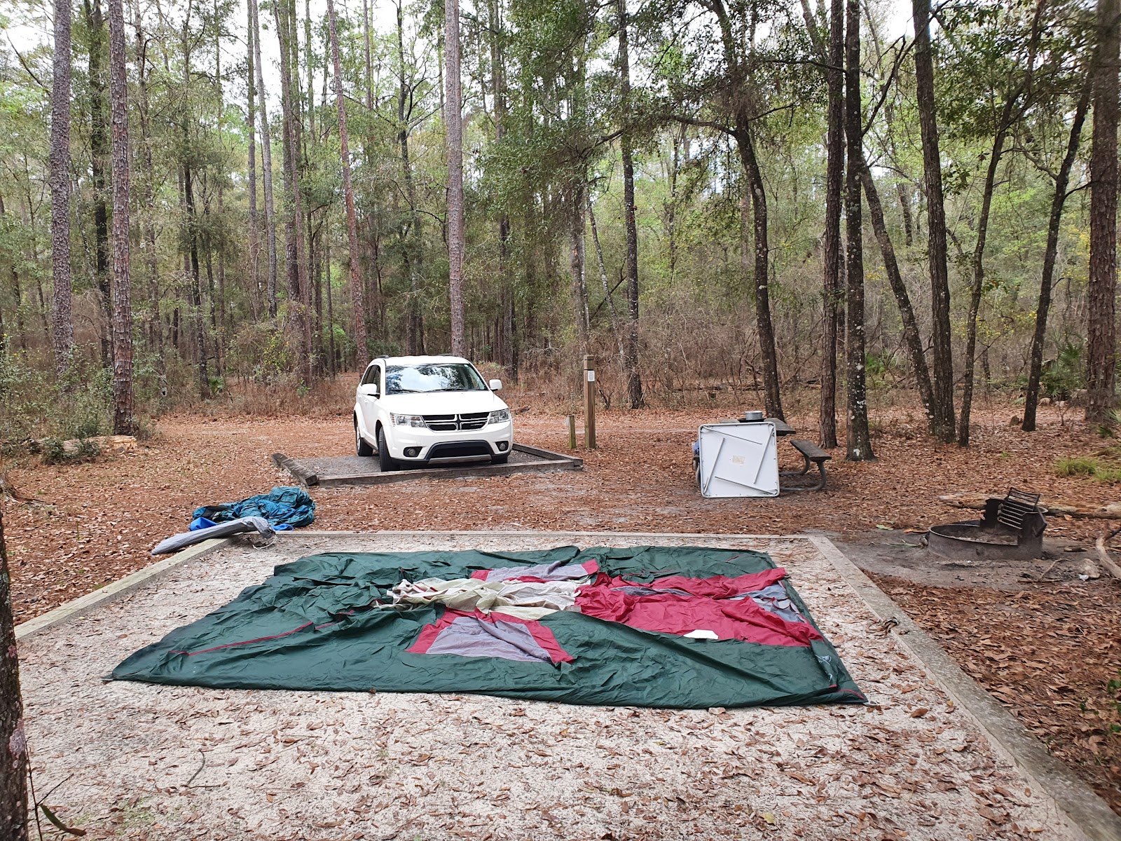 Jennings State Forest - Hammock Campground