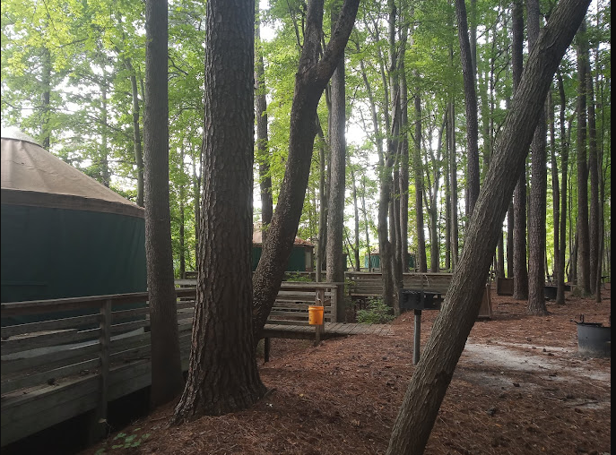 Sandy Bottom Nature Park