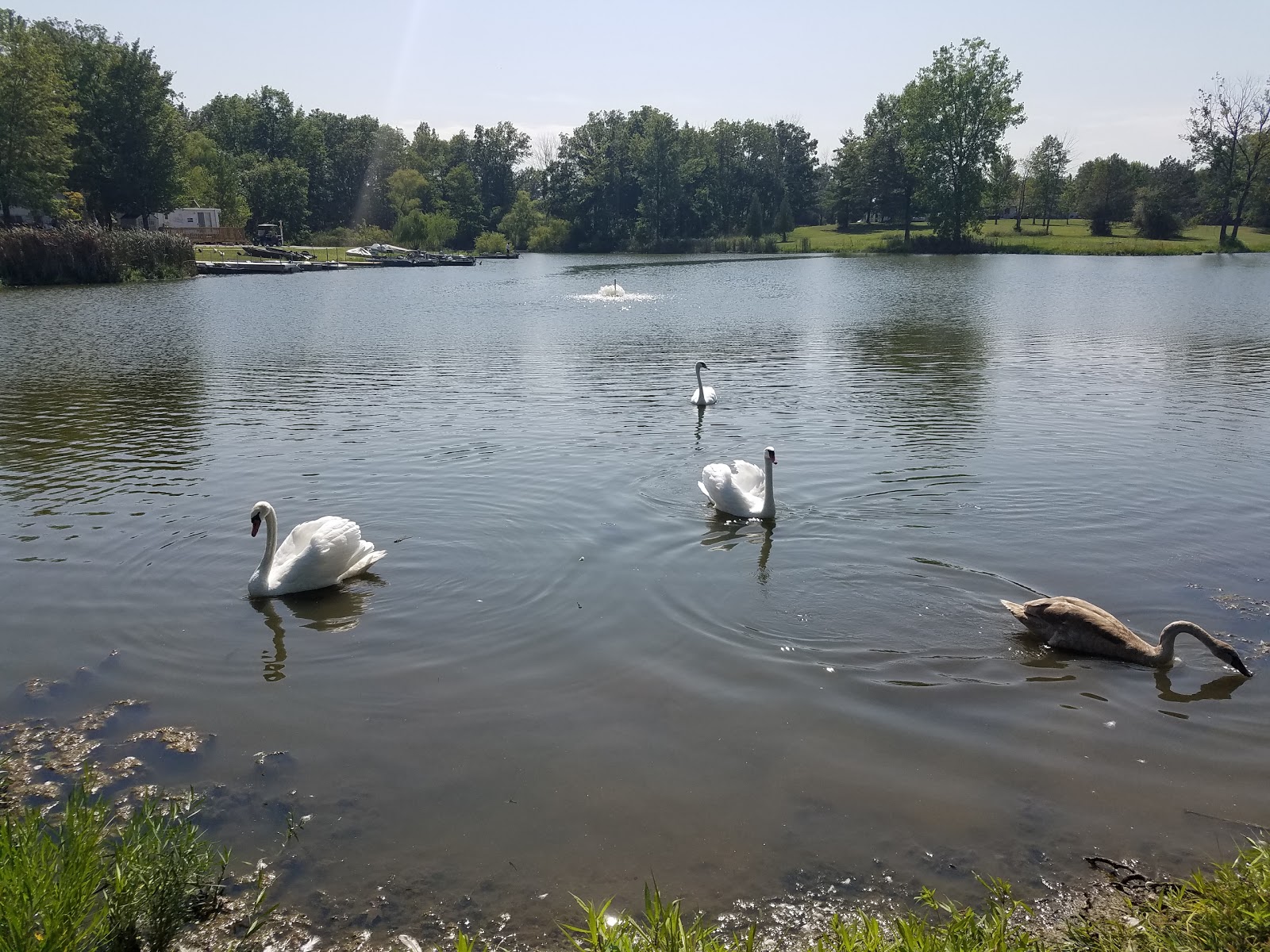 Sports Lake Campground