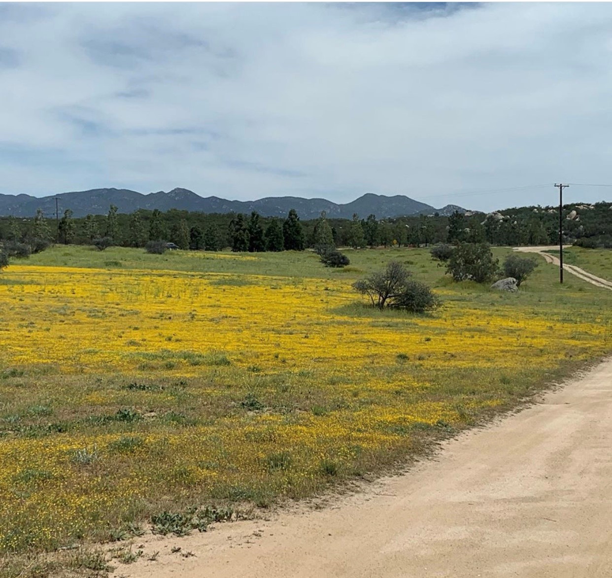 Cowboy Country Campground