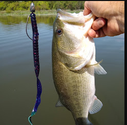 Spring Creek Marina & RV Park