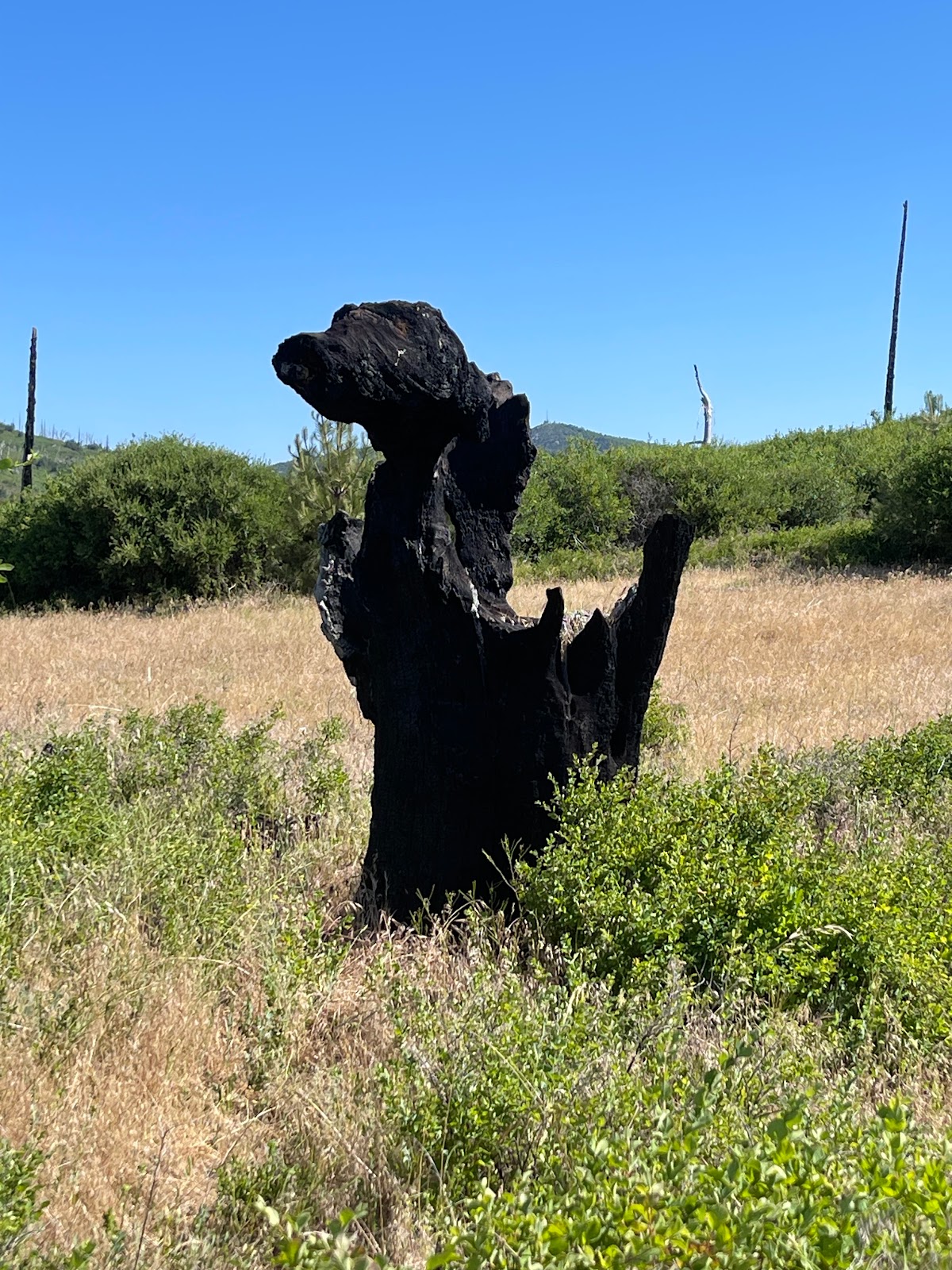 Paso Picacho - Cuyamaca Rancho State Park
