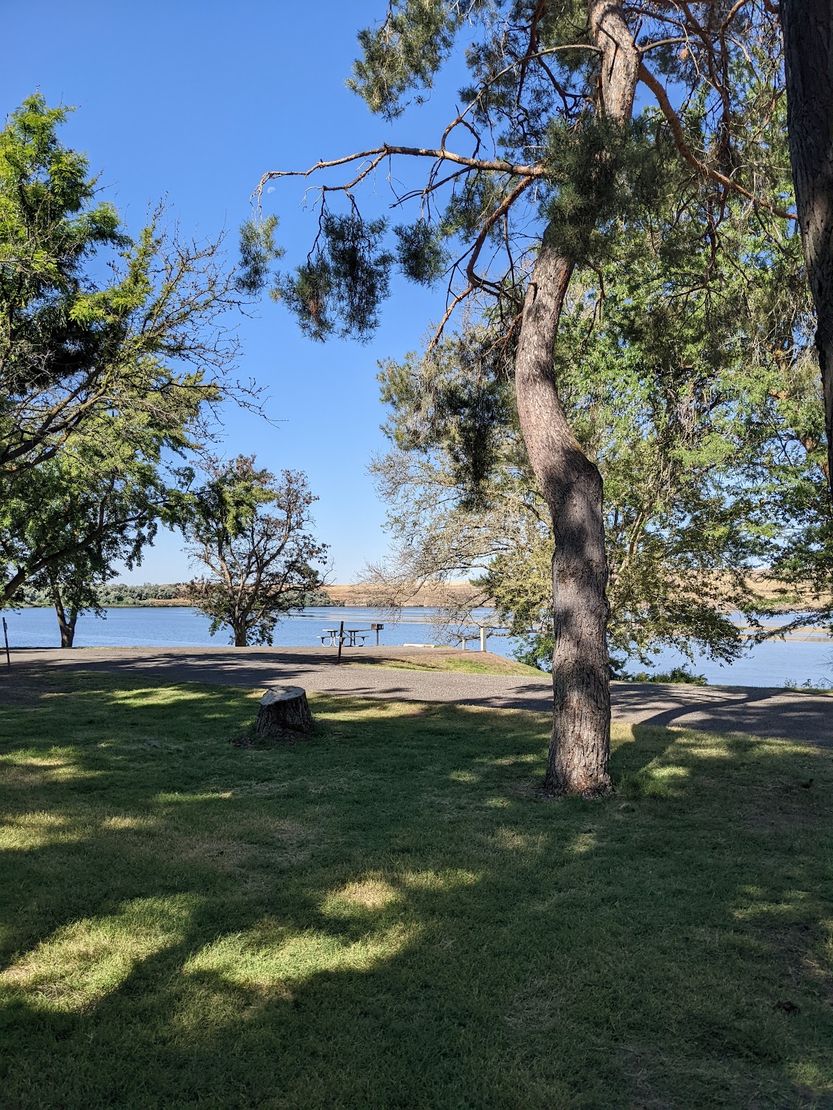Lake Sacajewea/Fishhook Park