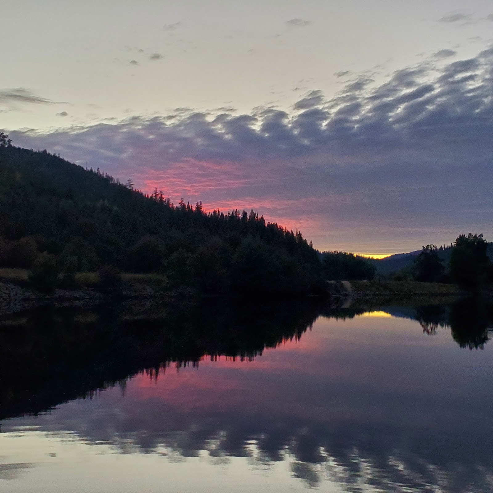Shadowy St Joe Campground