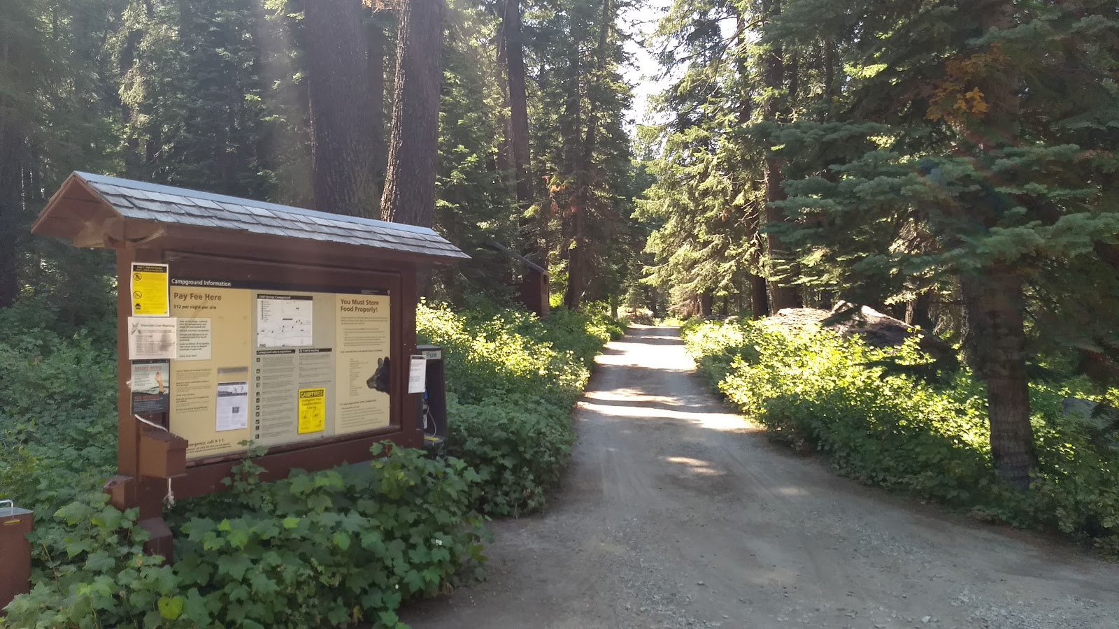 Cold Springs Campground (CA)