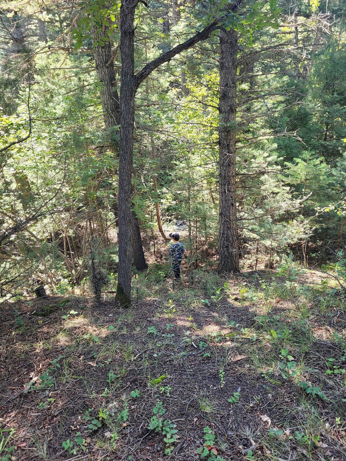 Hayden Creek Campground