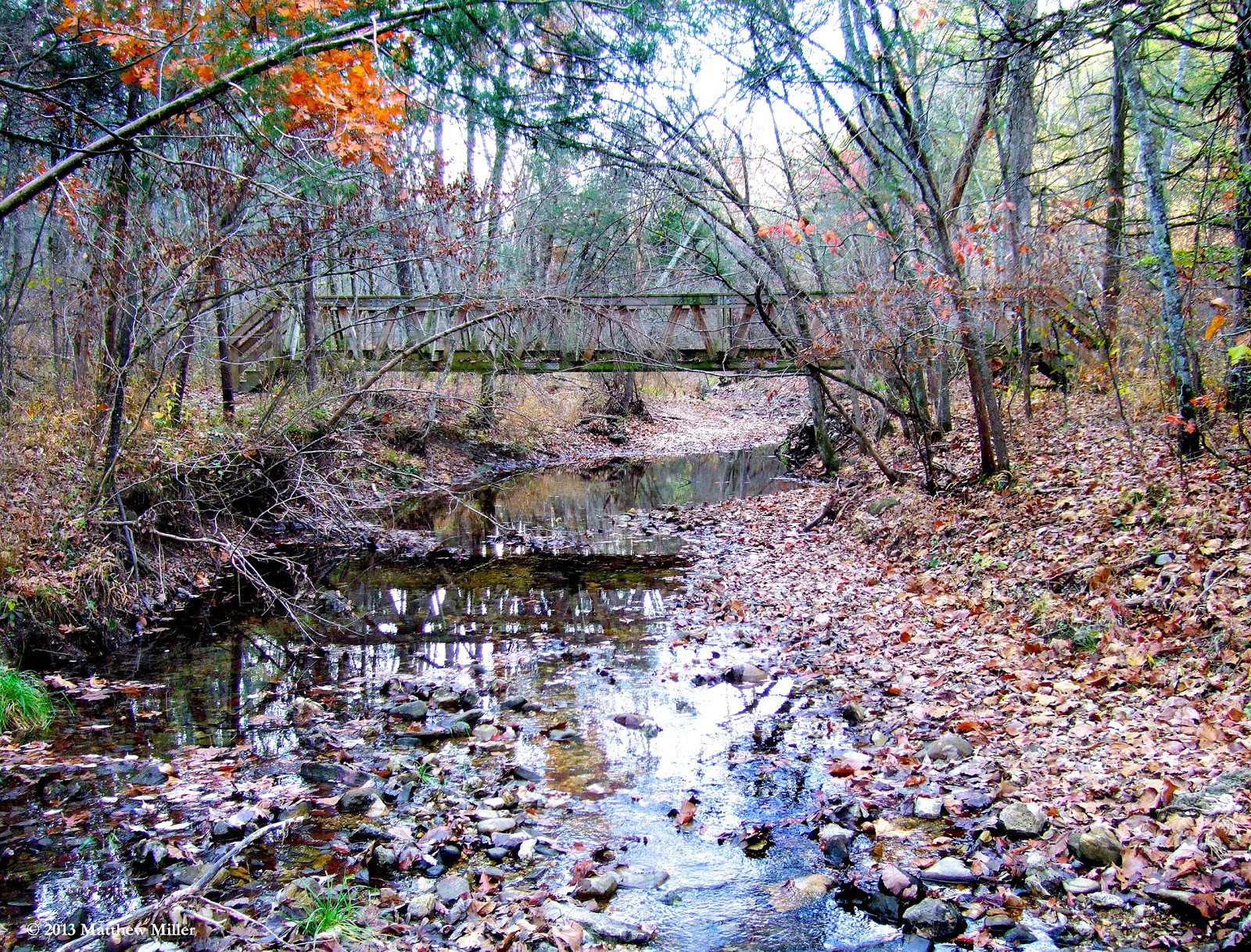 Ozark Natural Science Center