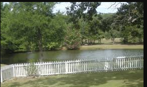 Puddin' Ridge Farm & Country Cabins