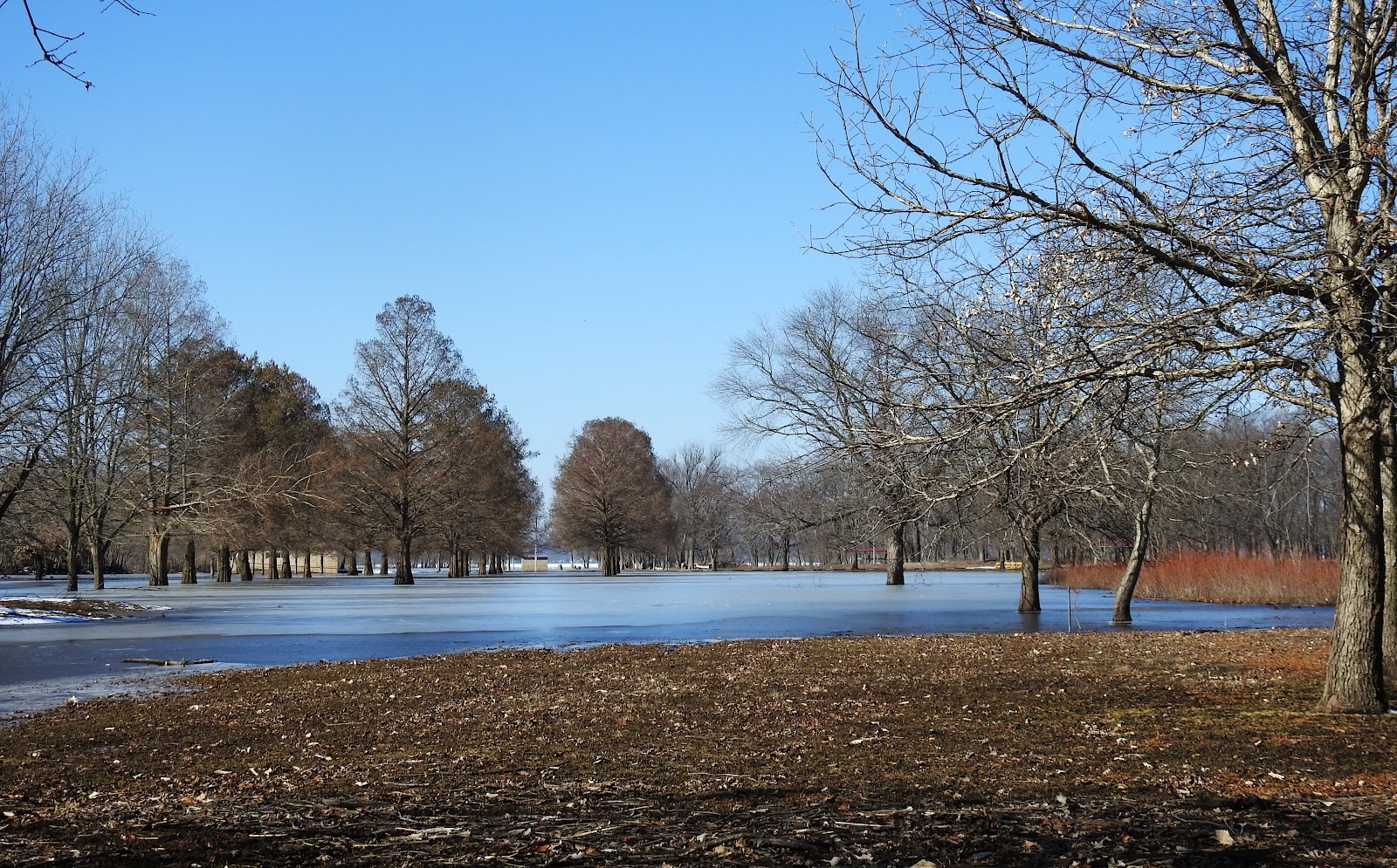 Woodford State Fish and Wildlife Area