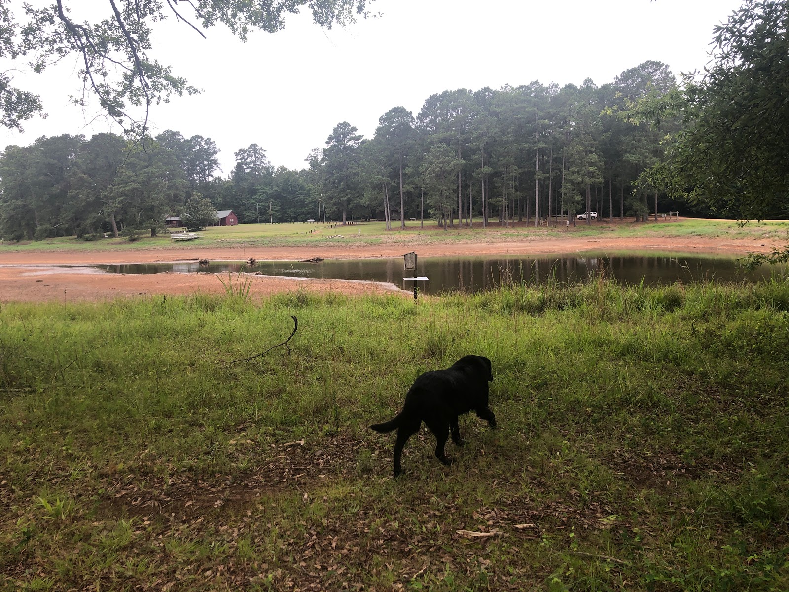 John W. Starr Memorial Forest WMA