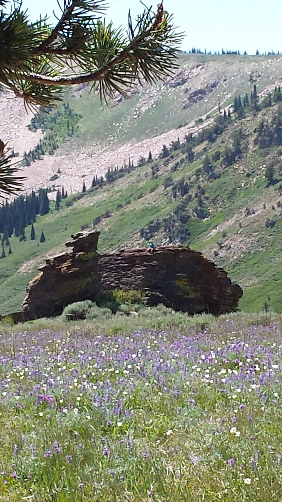 Howell Canyon Campground