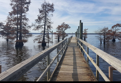 Earl G Williamson Park