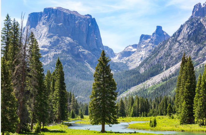 Yellowstone National Park