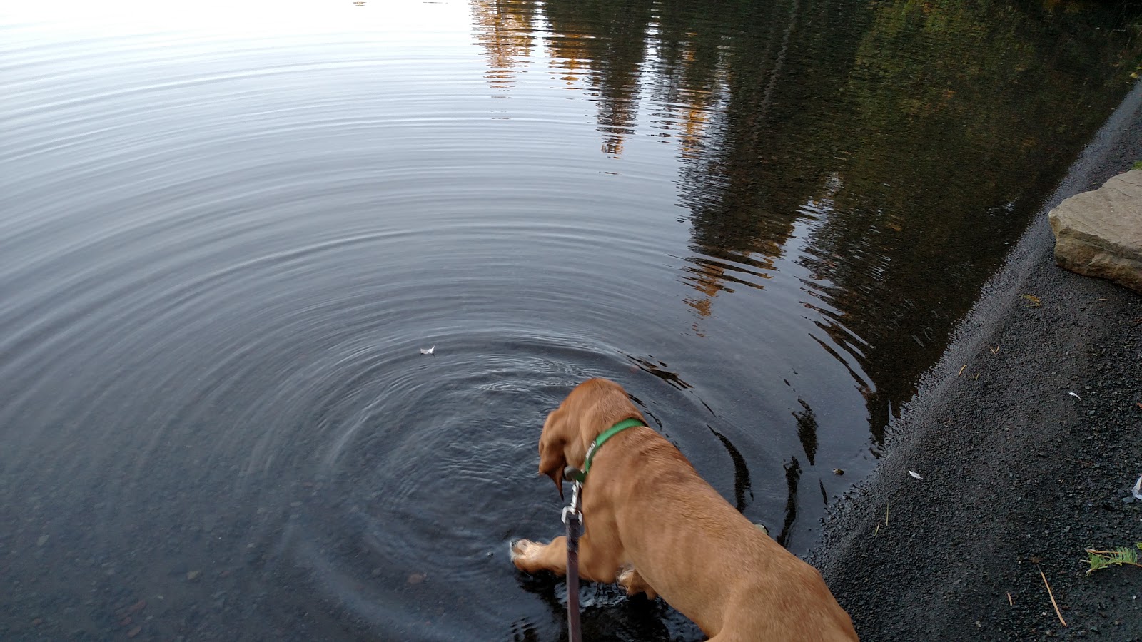 Link Creek Campground