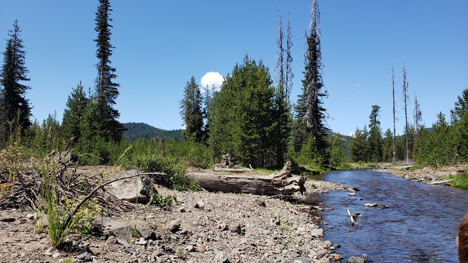 Soda Creek Campground