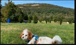 100 Mile View Camping