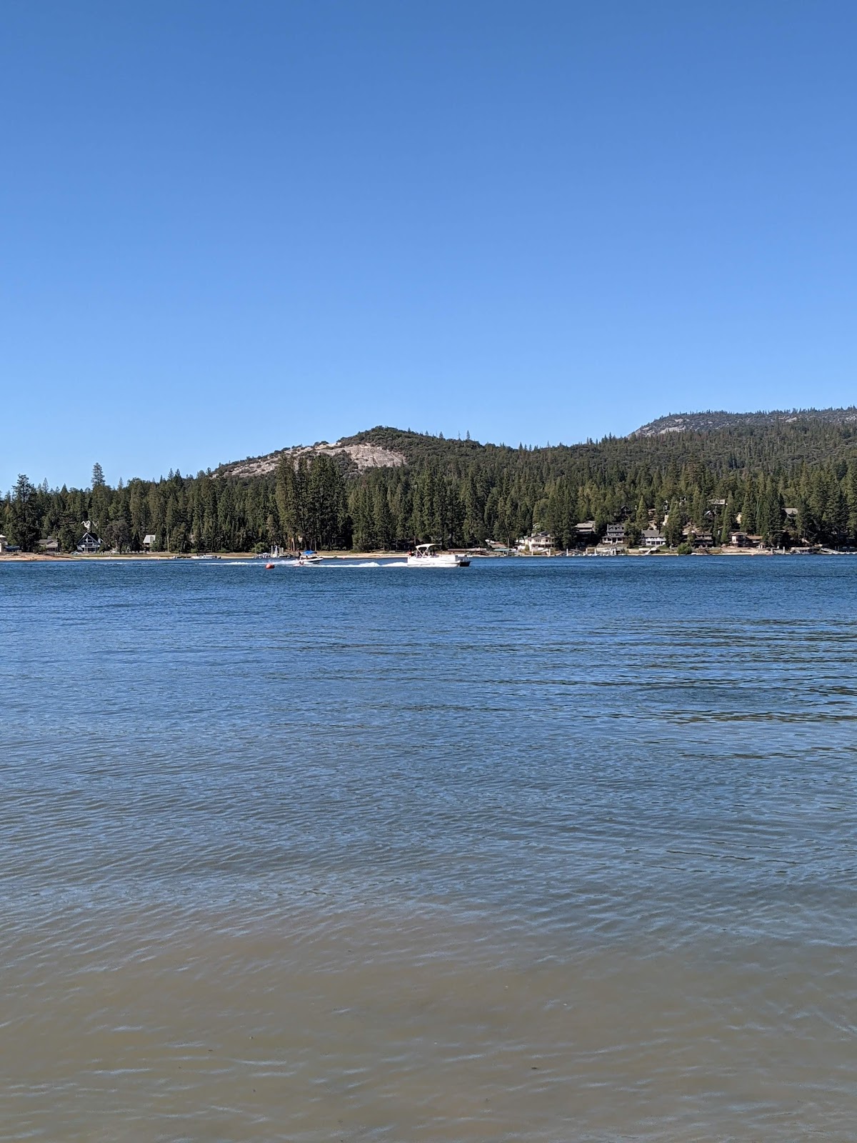Lupine Cedar Bluff Campground