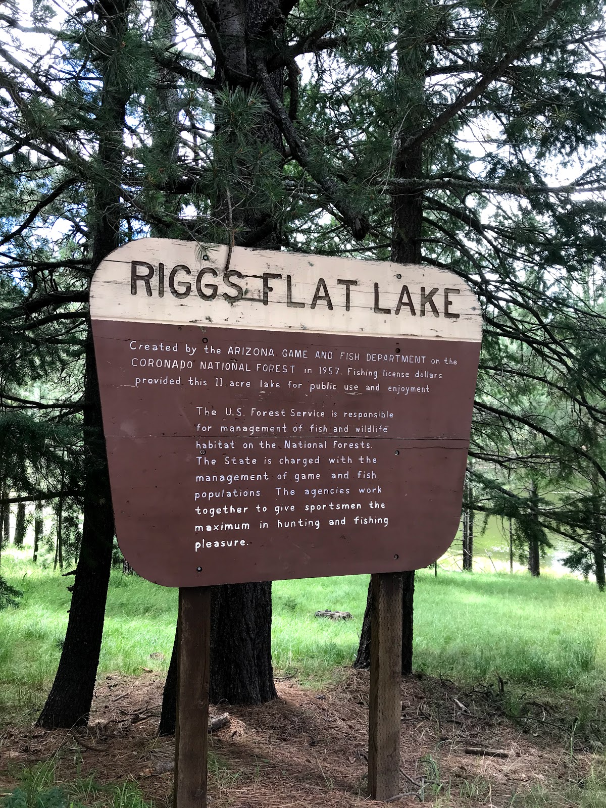 Riggs Flat Campground