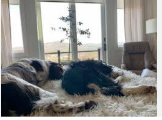 Hontoon Island State Park