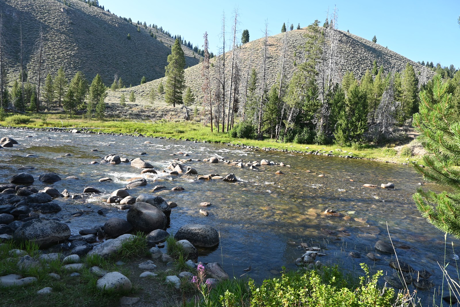 Sunny Gulch Campground