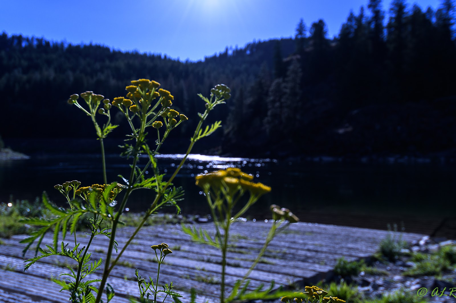 Dorr Skeels Campground