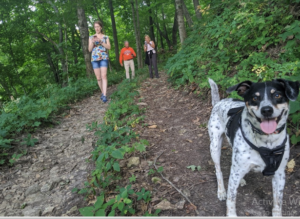 Mississippi Bend Campground & R.V. Park